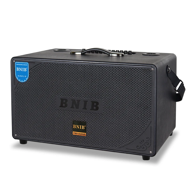 BM-777 Most Popular Dual 8 Inch Surround Sound Heavy Bass Wooden Portable Outdoor Wireless Speaker With MIC