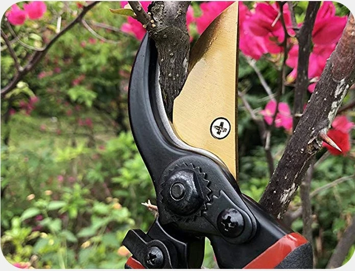 Hot Selling Industrial Garden Hand Tools Tree Flower Scissors Hand Tool Handle Pruning Pruner Shear