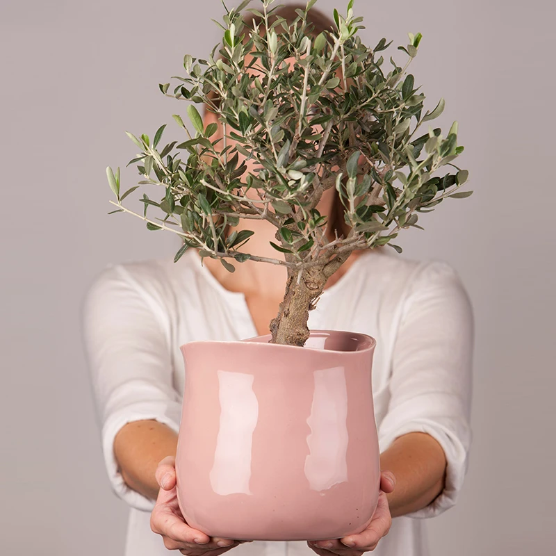 Promotional indoor decoration cheap prices pink glaze short flower pot planter ceramic