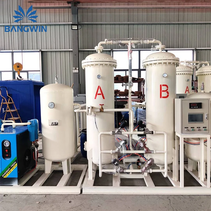 BW Medical Oxygen Plant Price Gas Generating Plant Industry