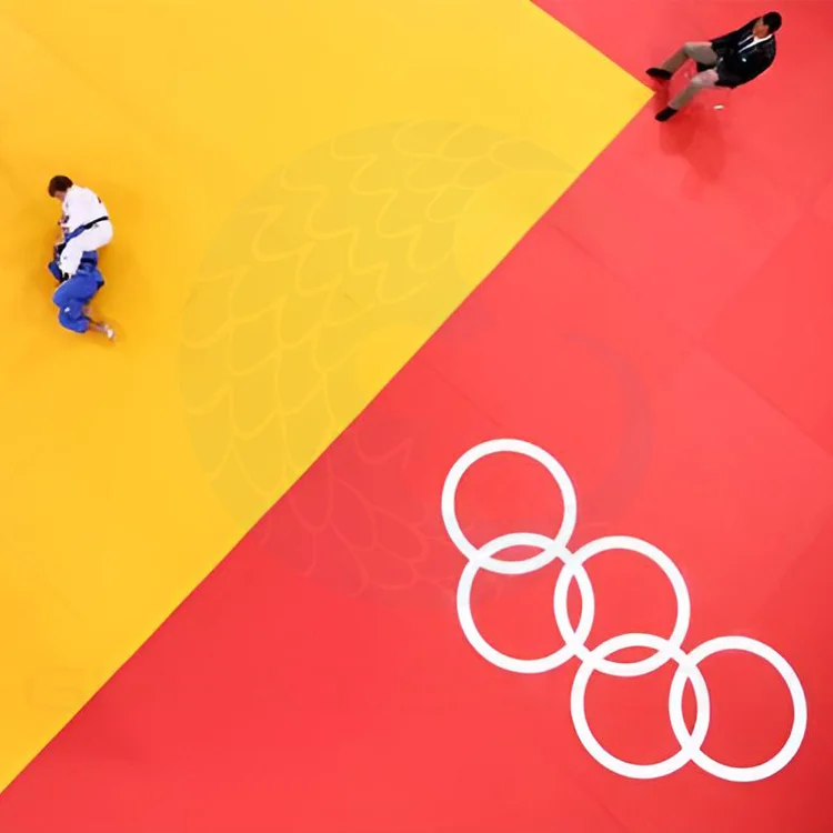Fast shipping Leather Tatami Mat New PU Material Sponge Judo Mats custom size color higher quality Grappling Judo Mat for sale