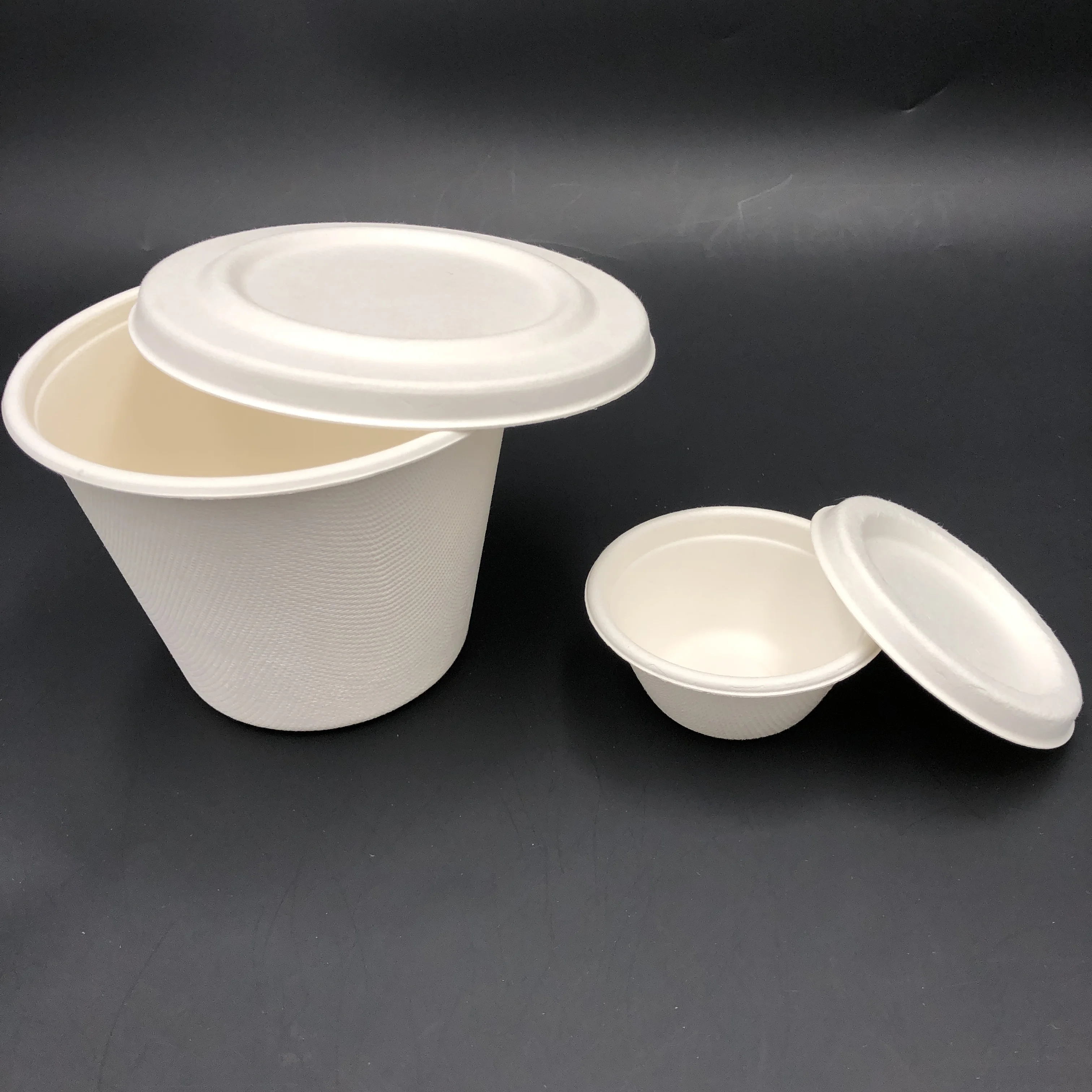 Wholesale Biodegradable Sugarcane Bagasse salad Bowl hot food leakproof Eco compostable soup bowls microwaveable disposable
