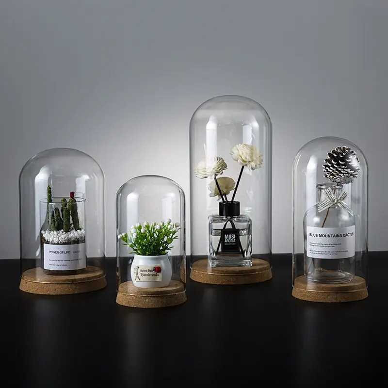 Hot Sale Cheap Large Glass Cloche Dome Bell Jar Display Stand Cover Terrarium Bottle with Cork Base for DIY Decor Glass Dome