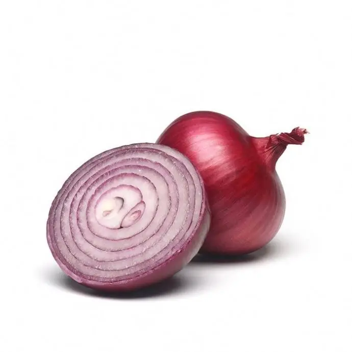 fresh onions for Export onion  or onion seeds for 1 ton price sale
