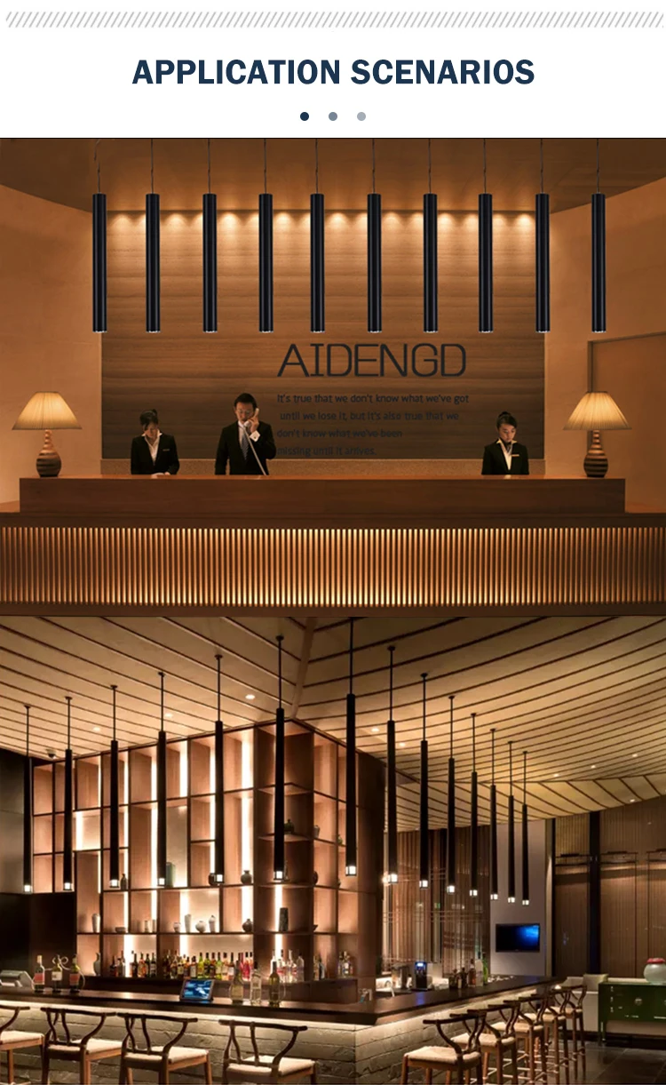 Pendant Light 8795  06.jpg