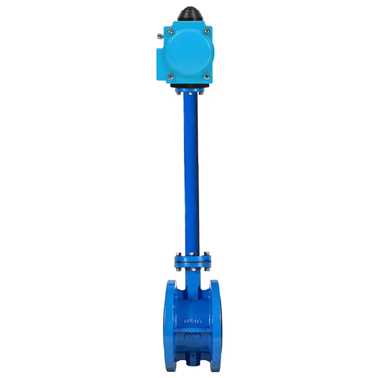 DN40 1.5 Inch Extended Stem CI Flange Connected EPDM Rubber Sealing Single Acting Pneumatic Actuator