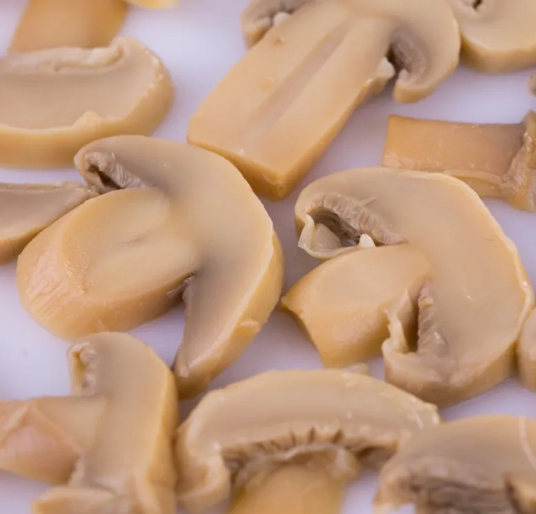 Wholesale Delicious Canned Mushroom Slice for Import in China