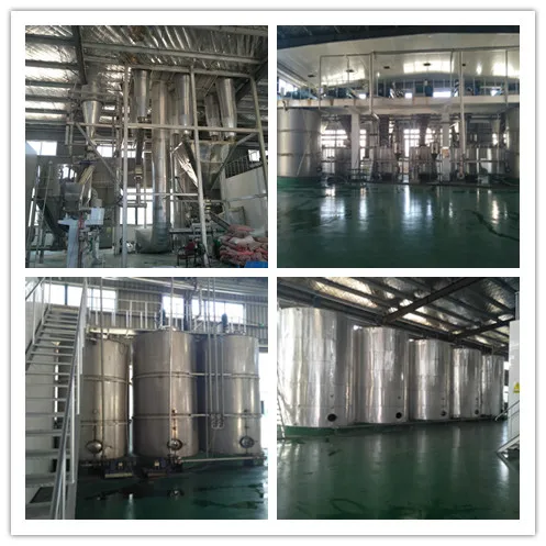 
Wholesale vegan organic protein powder rice protein isolate for meal replacement 