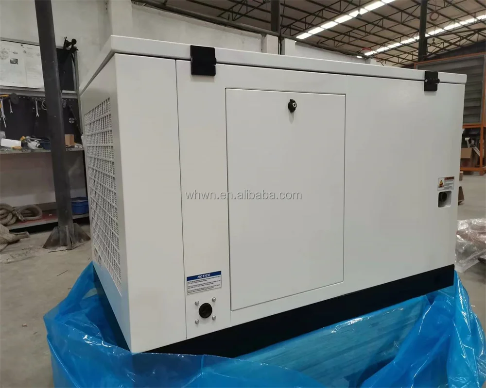 Portable Tractor Supply 20KW 30KW CNG Gas Genset Low noise single 3 Phase Dual Fuel Propane LPG Gas Generator set 20-50KVA