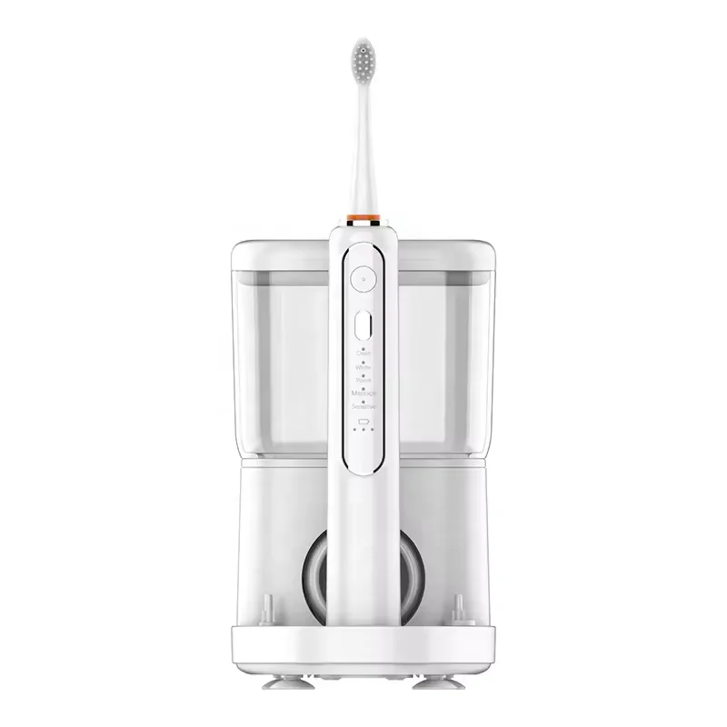 2024 New 3 in 1 China Rechargeable Dental Power Flosser Floss Pro USB Cable Oral Irrigator With 2pcs Electric Toothbrush Head