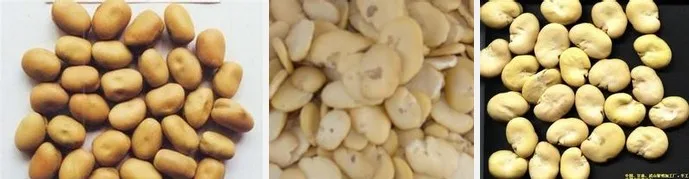 bean product processing pea peeling machine