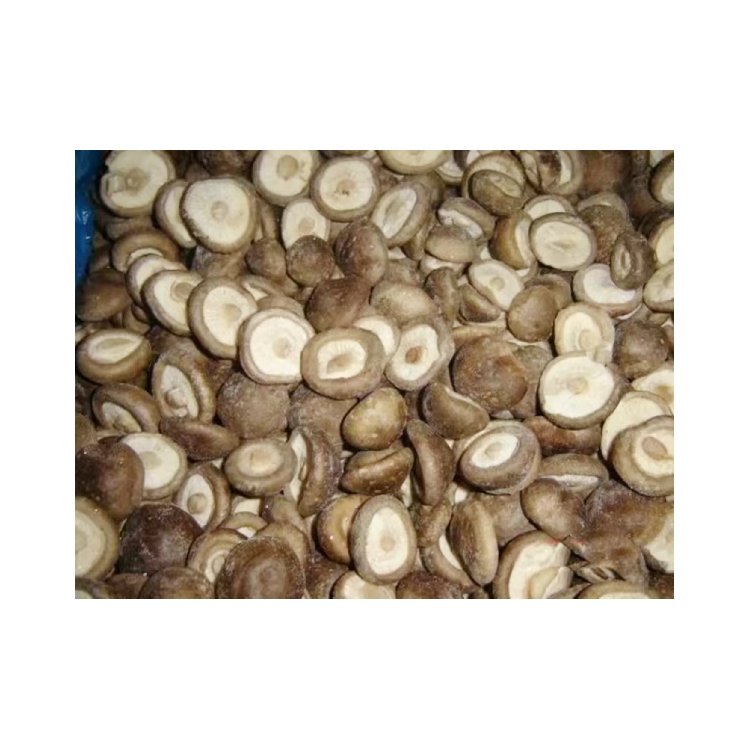 Wholesale frozen shiitake mushrooms