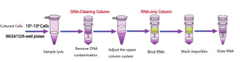 cell total RNA.png