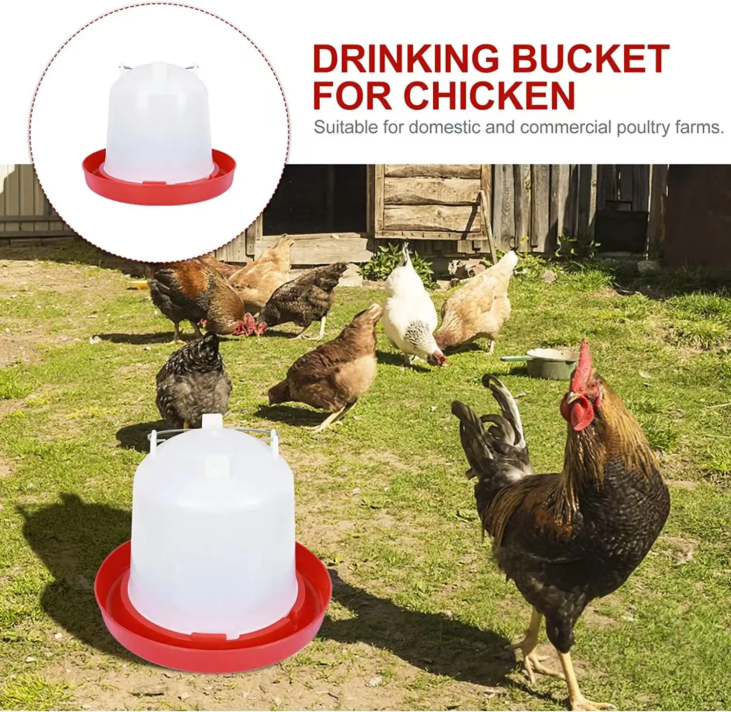 Poultry chick drinker plastic drinker without legs for chick duck red automatic chicken drinker