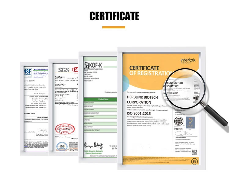 100% natural Grape Seed Extract OPC/grape seed powder(Proanthocyanidins)