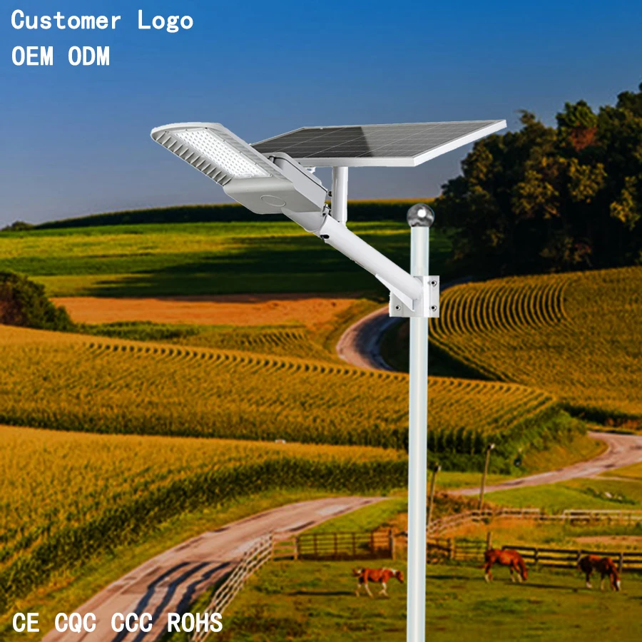 intelligent control hot selling 30W 40W 50W Split Solar Street Light