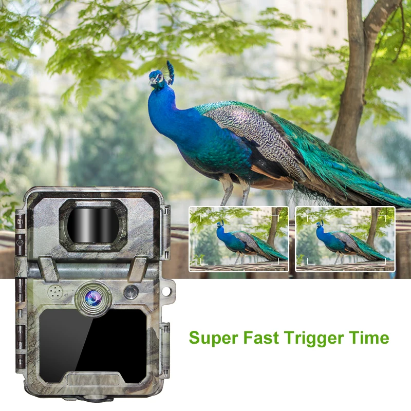 Keepguard 30MP 1080P Hunting Trail Camera with 48pcs LED light Wildlife camera