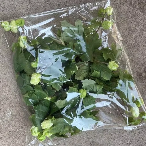 Цветочный дизайн и Декор Искусственный хоп гирлянда 180 см зеленый для пивного фестиваля украшения дома