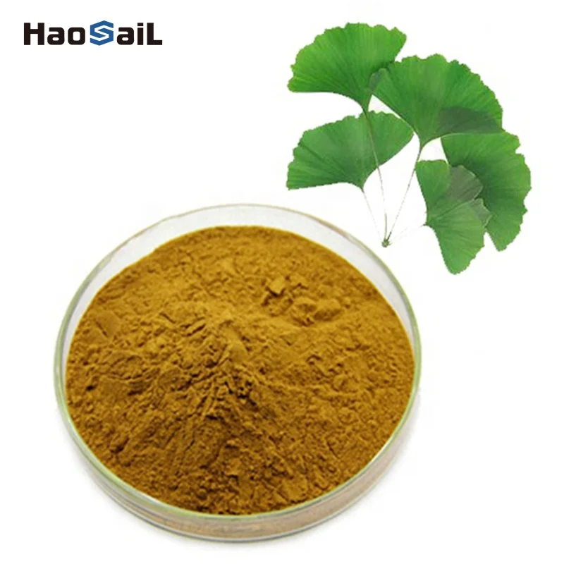 24% 6% ginkgo biloba extract flavonoids terpene lactones ginkgo biloba leaf extract