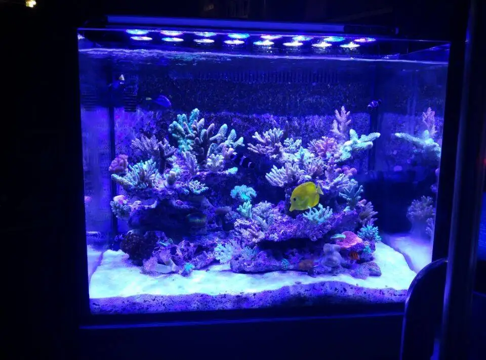 2020 новейший Wi-Fi Диммируемый новый дизайн риф 120 Вт 240 Вт 350 Вт аквариумные светодиодные фонари diy светодиодные рифовые комплекты освещения