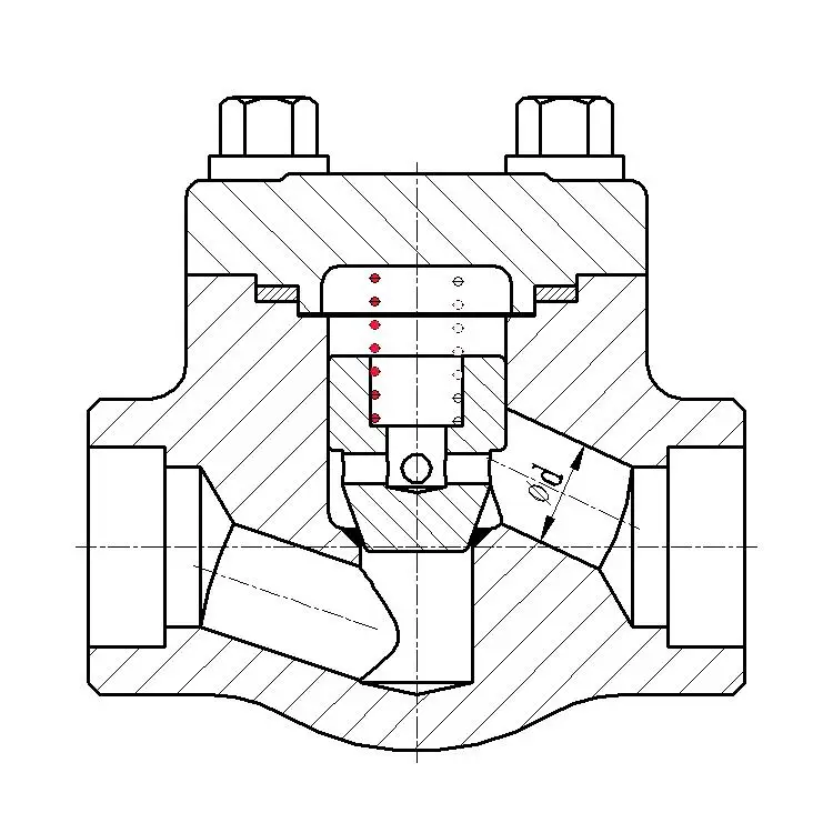 Stainless Steel Lifting check valve 1/2 inch