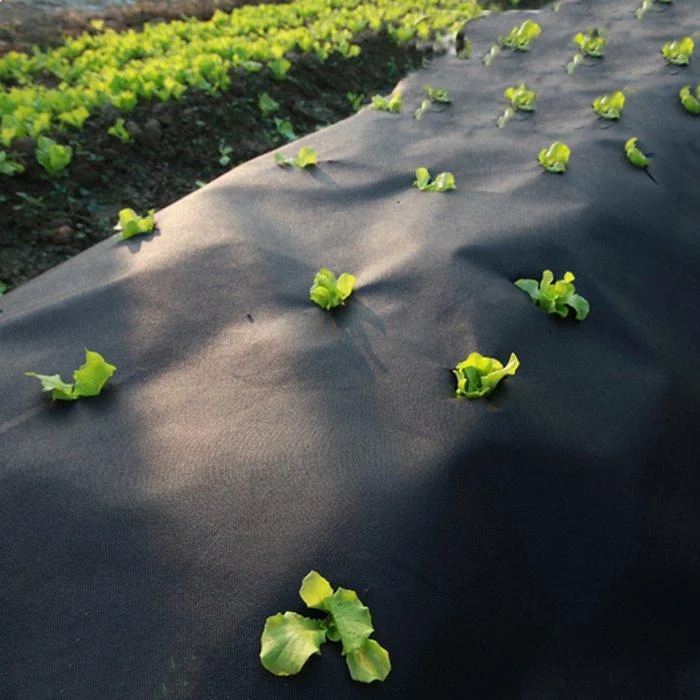 Biodegradable PLA Black Spunbond Nonwoven Fabric for Agriculture Cover Anti-UV