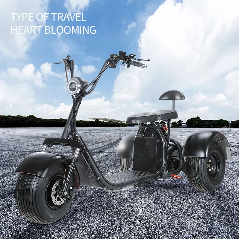 Customized 2000w Lithium Battery 3 Wheel Citycoco Adult 3000w Three Wheel Electric Scooter Tricycle