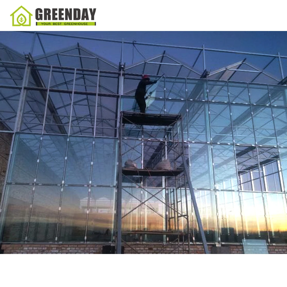 
GREENDAY Vegetable Farm Equipment with aquaponics SYSTEM 