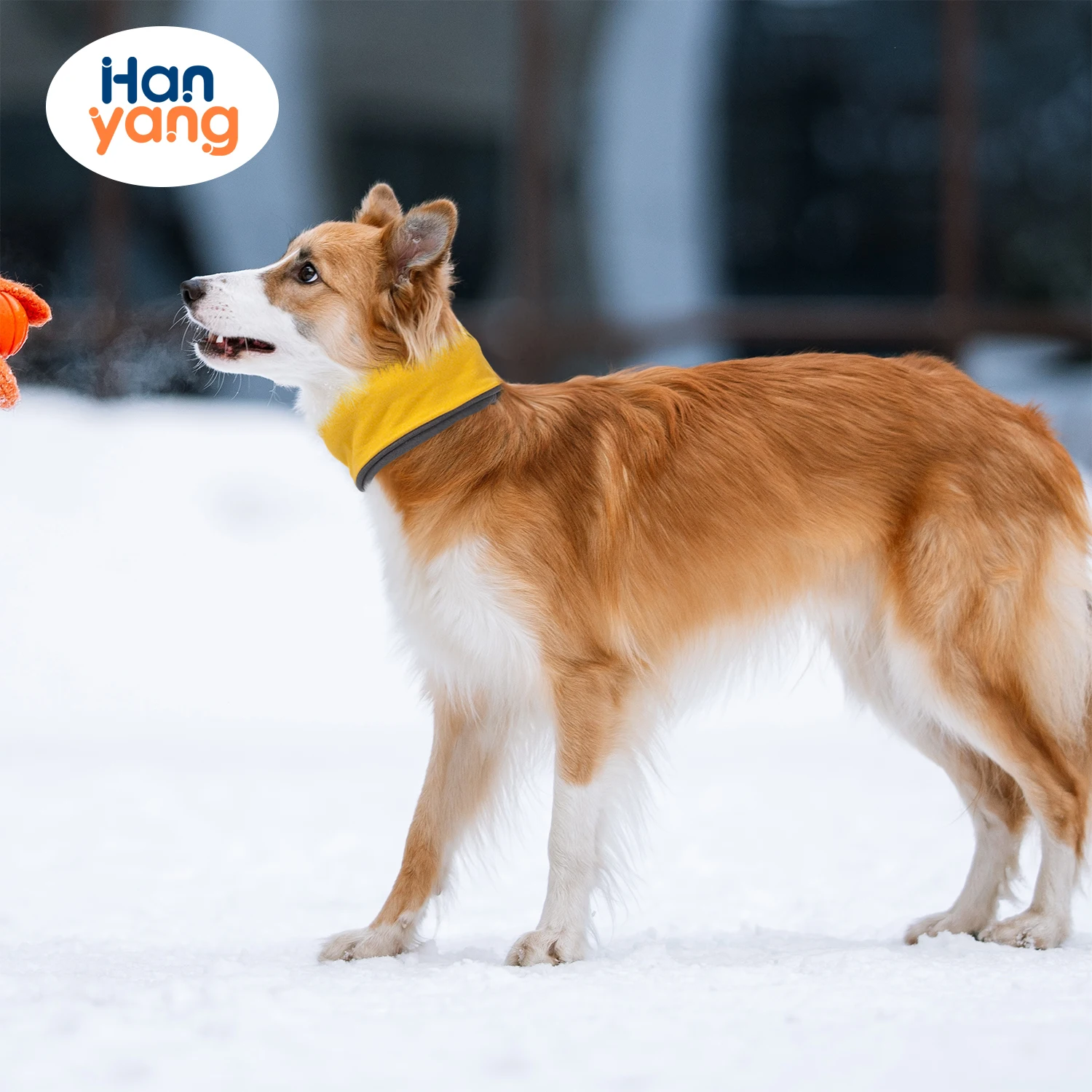 HanYang OEM Custom Pet Dog Knitted Scarf Cute Collars Doggie Neckerchief Soft Washable Plaid Bandanas for Dogs and Cats