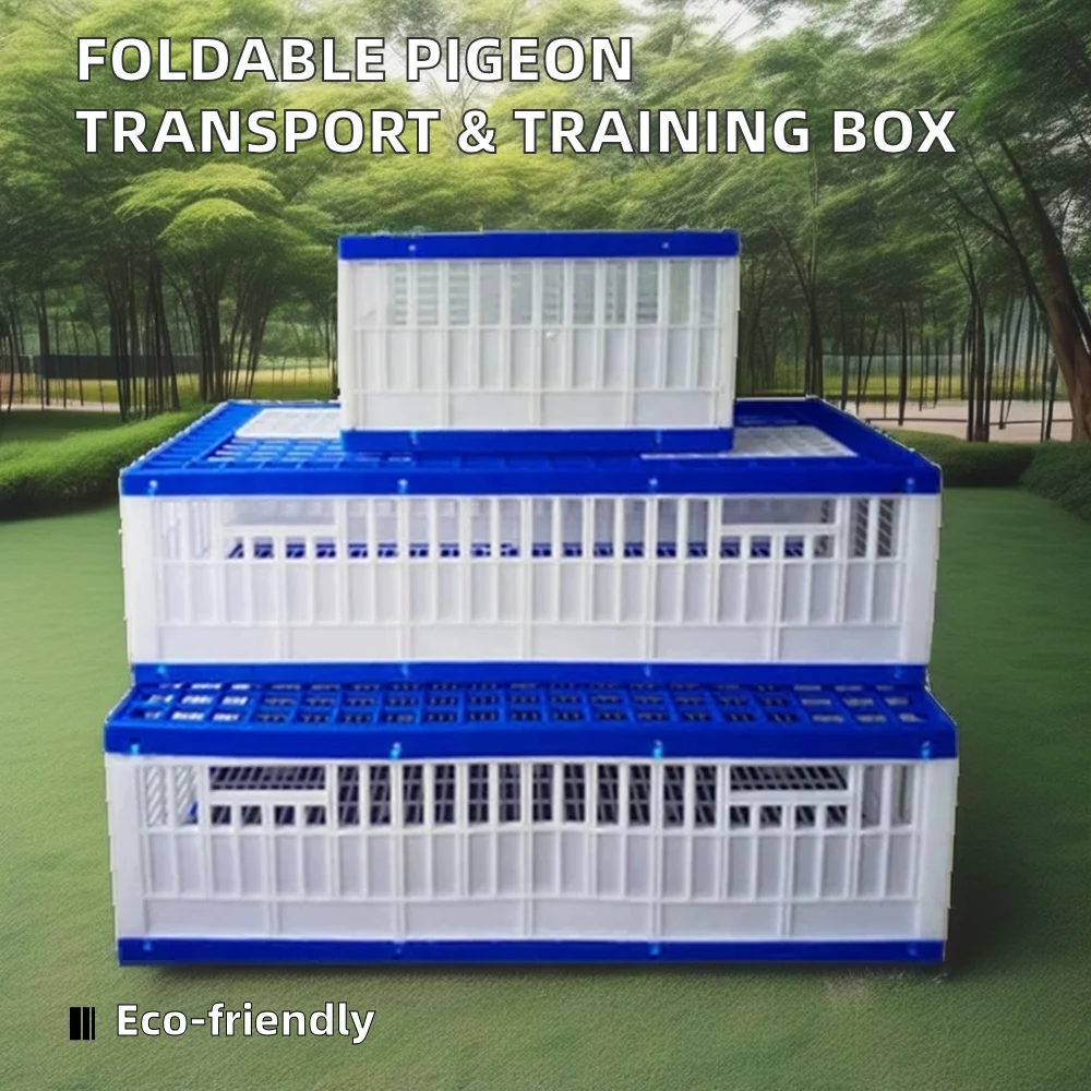Portable Foldable Pigeon Transport Crate Plastic and Wood Bird Training Box with Button Closure for Pigeon Breeding Training