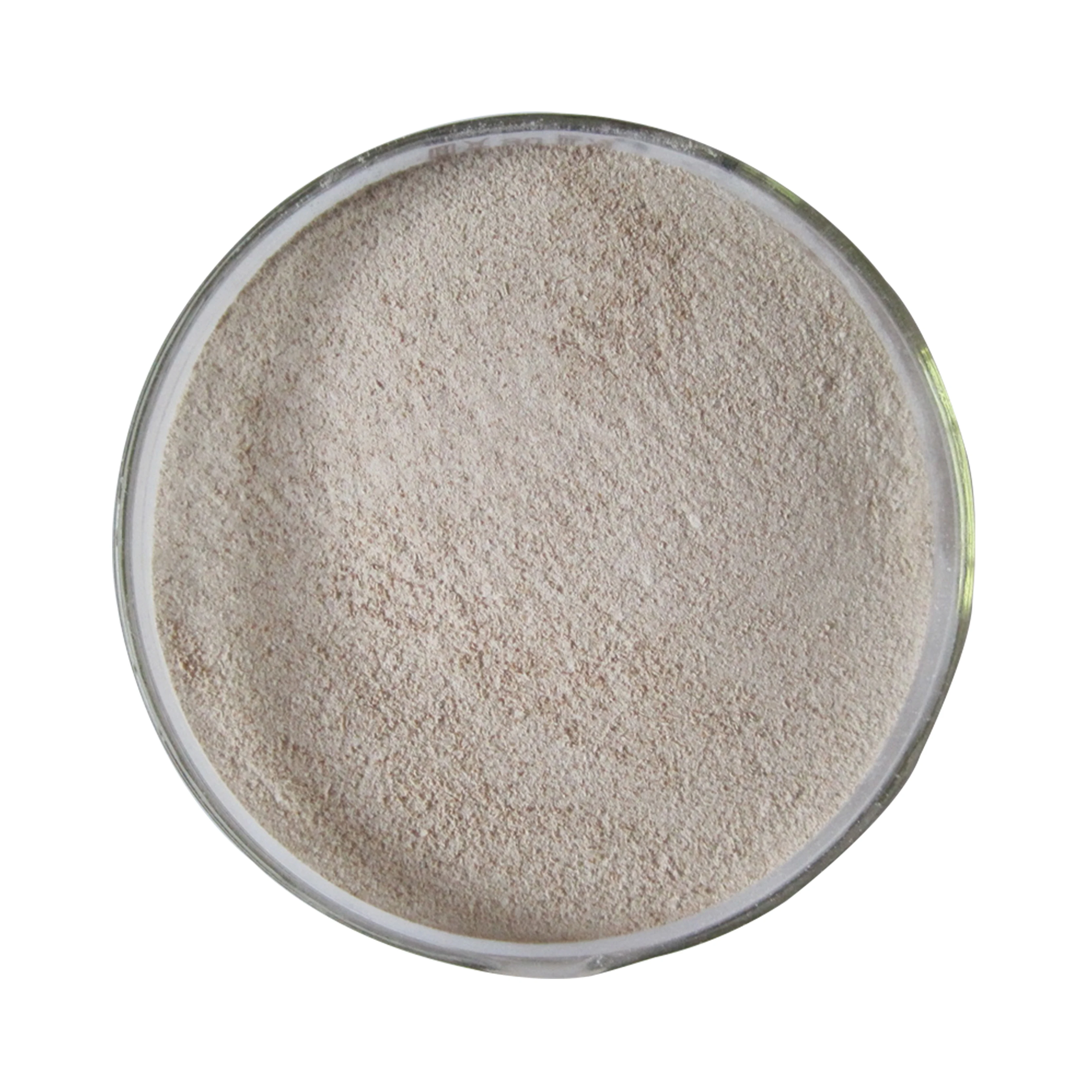 High Colony Content Bacillus Subtilis Feed Grade Powder Probiotics