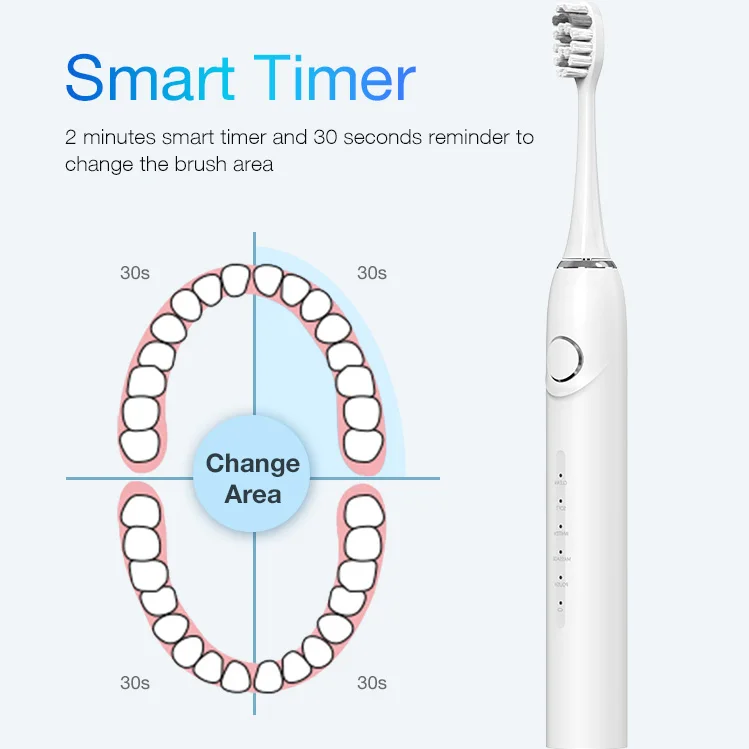 T2425 Adult High Quality Electronic Toothbrush Manufacturing Factory Price Rechargeable Sonic Electric Toothbrushes Electric