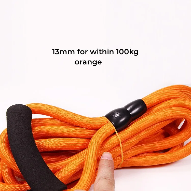 Manufacturer Wholesale Dog Hauling Cable Dog Belt Leash Training Dog Leash Pet Rope