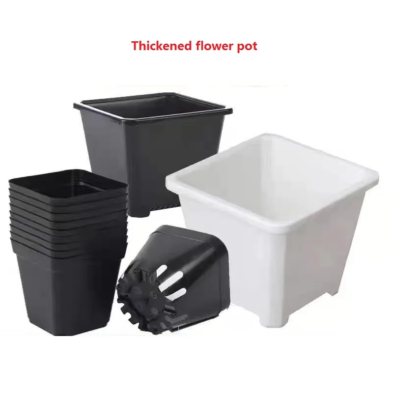 Hot Selling Thickened and Meaty Seedling Pot Small Black Square Black and White Plastic for Seedling and Flower Pot Planting