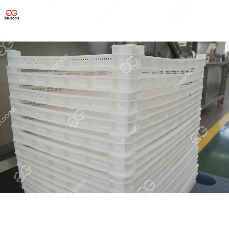 Gelgoog Industrial Drying Fruit Passion Fruit Machine Equipment For Dry Fruits Manufacturer