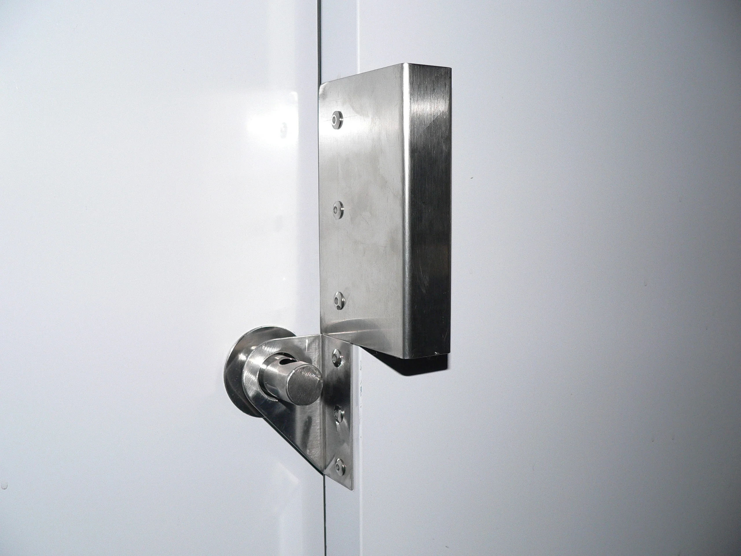 Door handle and locking pin for bagged ice storage