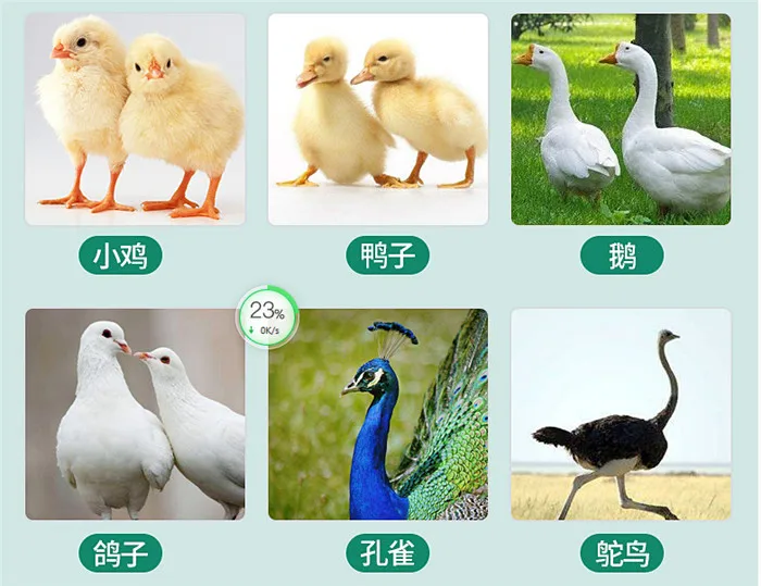 Automatic Egg Incubator Chicken Incubators Poultry Hatcher Incubators