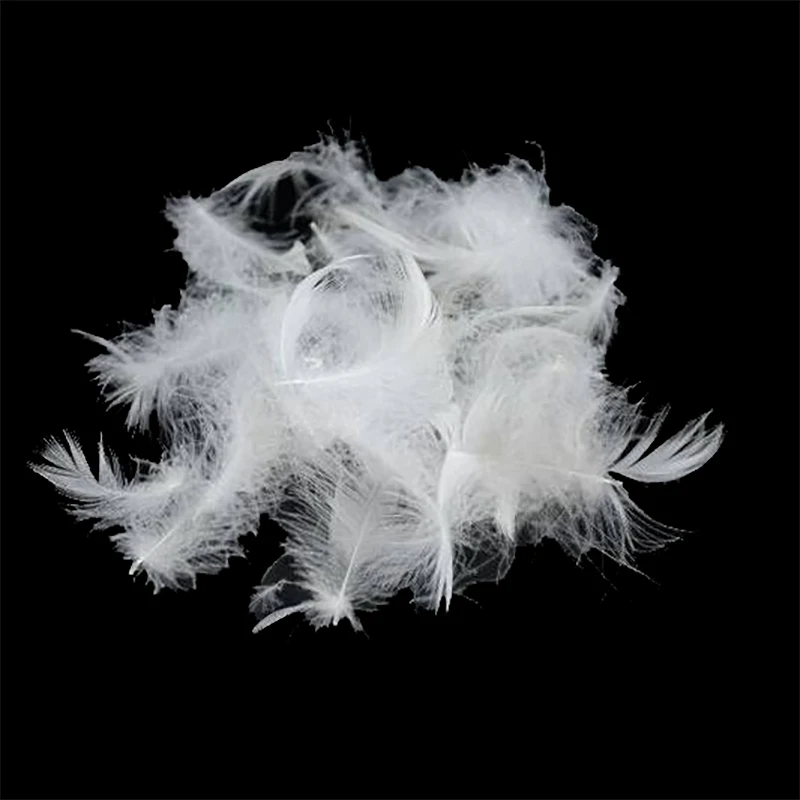 
Standard Washed Natural White 60% Duck Down 40% Feather Pillow Filling 