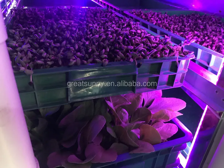 
New Product Ideas Vegetables Plant Nursery Tray led lamp Garden Greenhouse Grow Vertical cabinet Hydroponic System Grow Box 