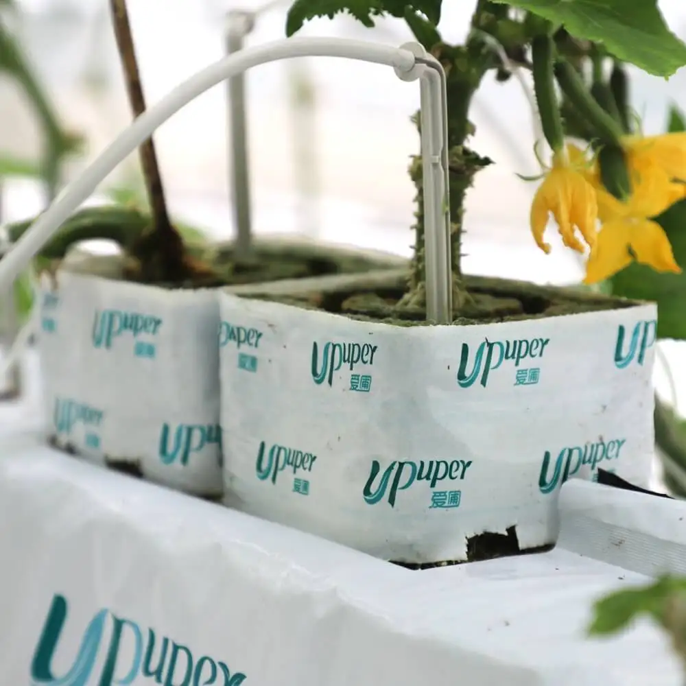 UPuper China manufacturer greenhouse cultivation cucumber 4 inches hydroponic grow rock wool