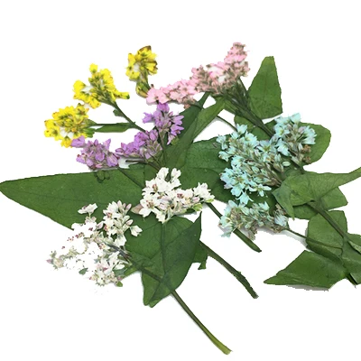 Натуральный сушеный прессованный цветок