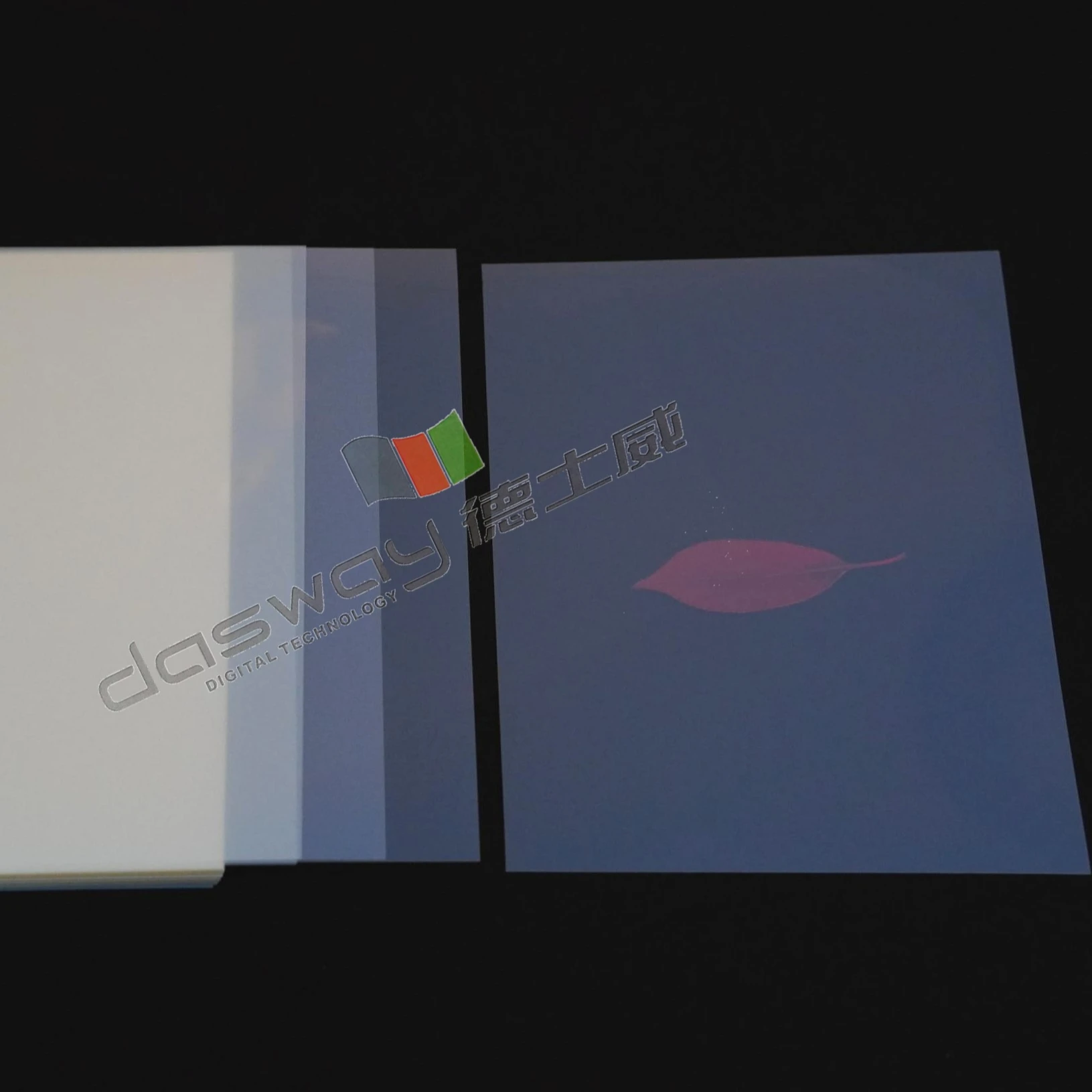 Free Sample Factory Price A3 sheets100U Milky Waterproof Inkjet PET Film for Silk Screen Printing Plate Making Offset Printing