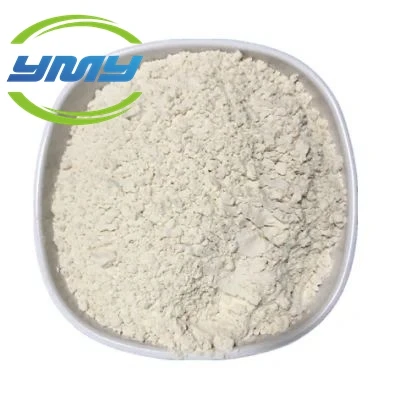 Factory Price And High Quality 80 Mesh/200 Mesh Xanthan Gum CAS 11138-66-2