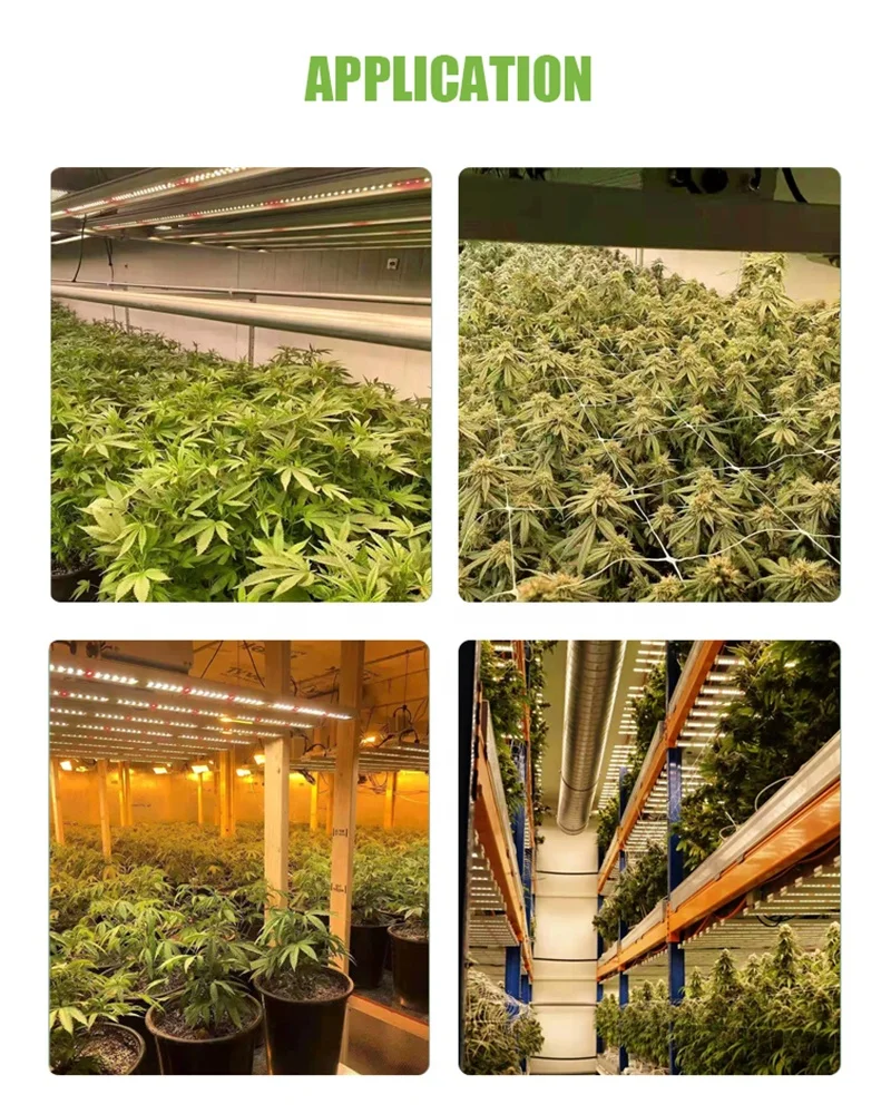 Top rated best large string veg indoor full spectrum new hot sell led grow lights 2021 with switch