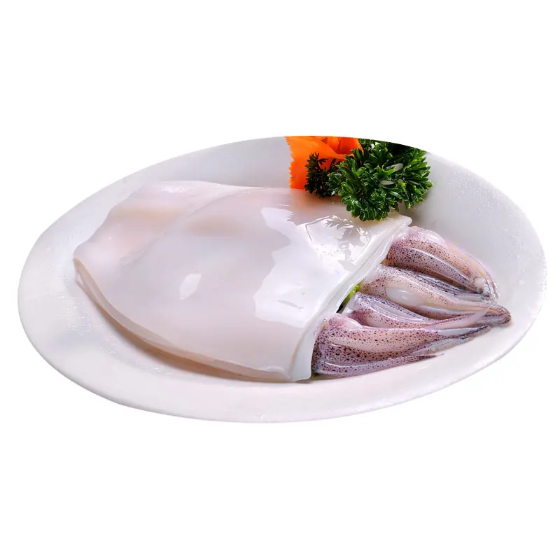 
Southeast Asia Marketing Giant Squid 