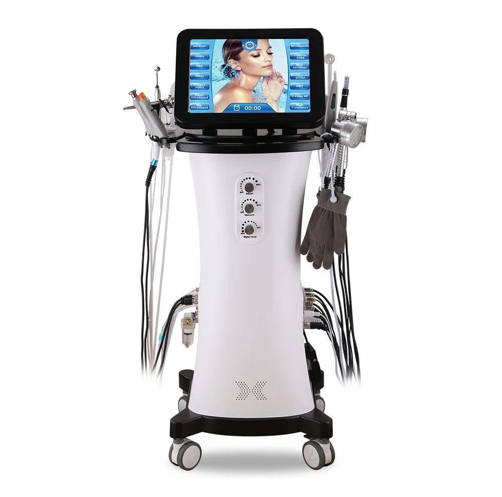 Niansheng  Hot Sell 15 in 1 Professional hydro microdermabrasion hydra dermabrasion machine facial machine