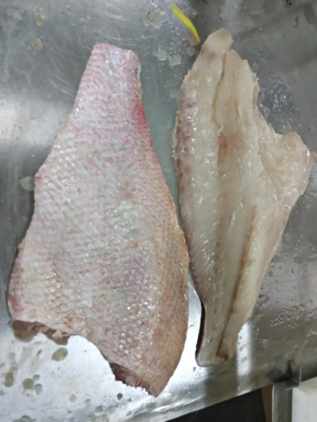 Good Sale from Indonesia Frozen Red Snapper Fillet