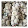 Fresh pure white garlic high quality 3P 5P net bag small package Top Product Dried Garlic High Quality Garlic For wholesale