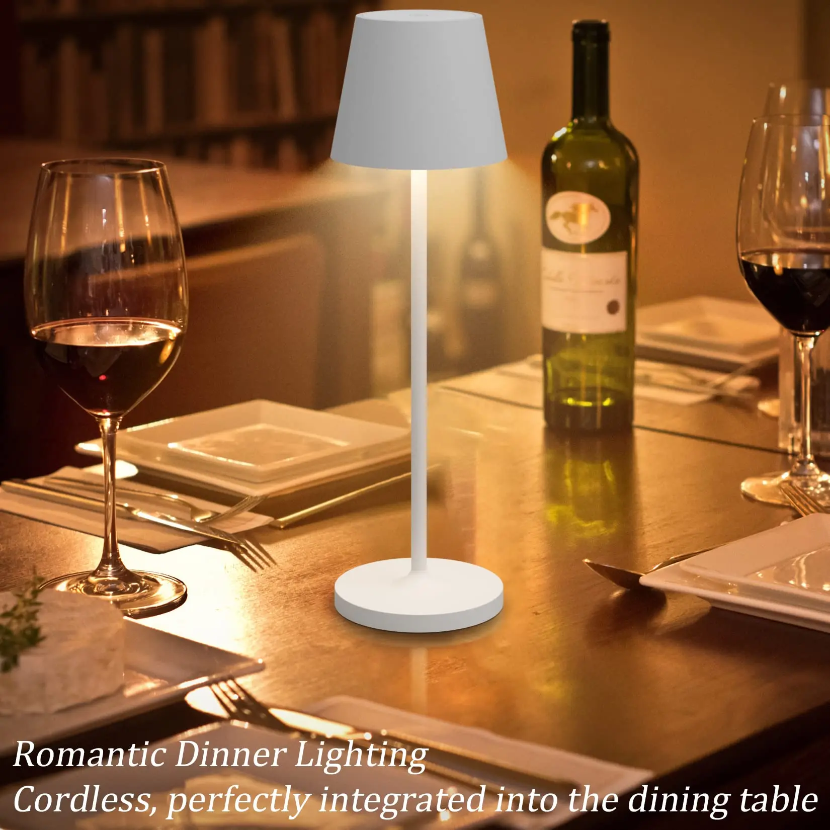 rechargeable outdoor lamp with contact charging base