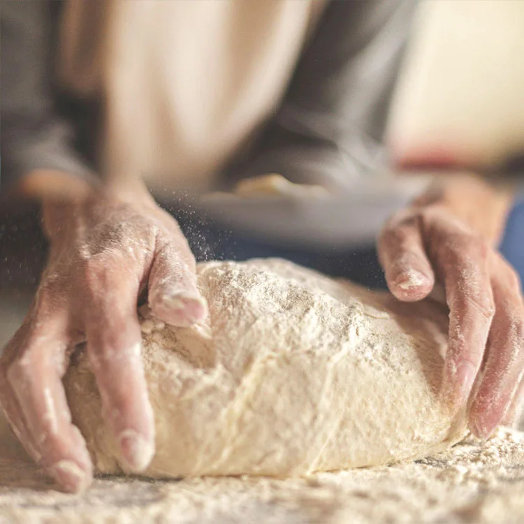 Yeast for brewing, Organic yeast, High-quality yeast, Yeast packets, Yeast granules, yeast extract powder, food yeast, dry yeast